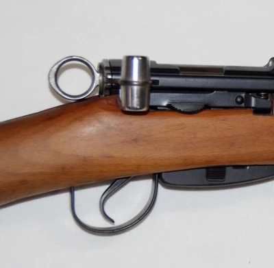 Schmidt Rubin Model - K31