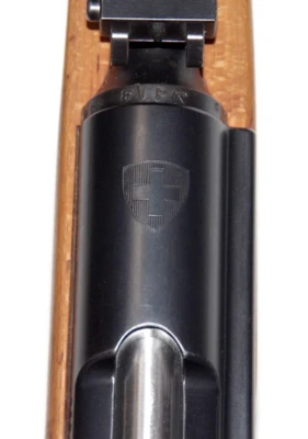 Schmidt Rubin Model - K31