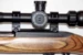 Ruger - Model 10/22-T