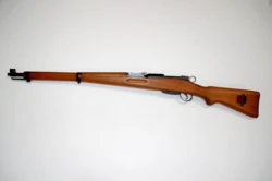 Schmidt Rubin Model - K31